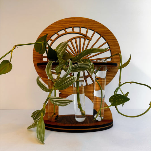 A wooden propagation station with glass tubes and plant cuttings to show how it works.