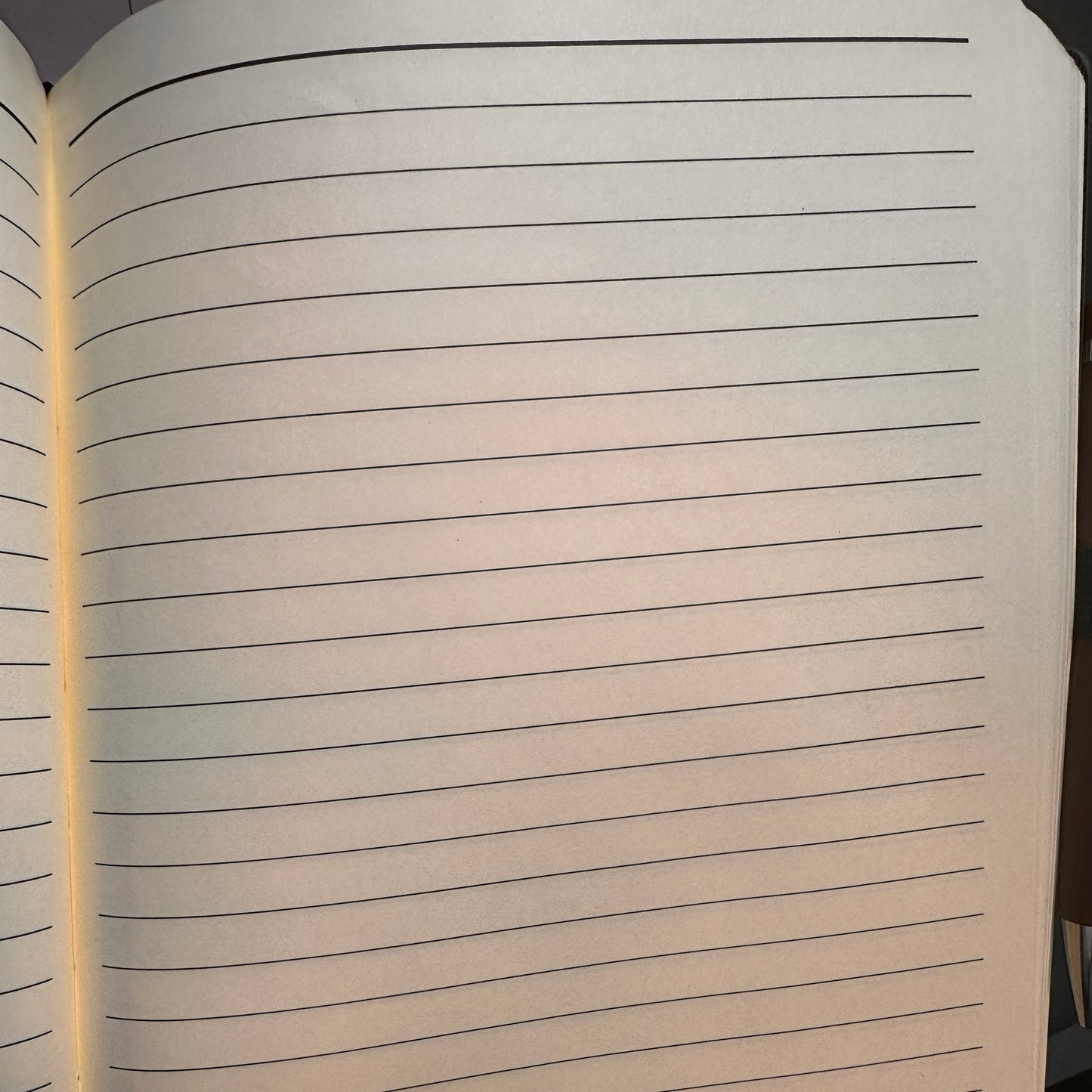 inside of journal showing that it has lined pages