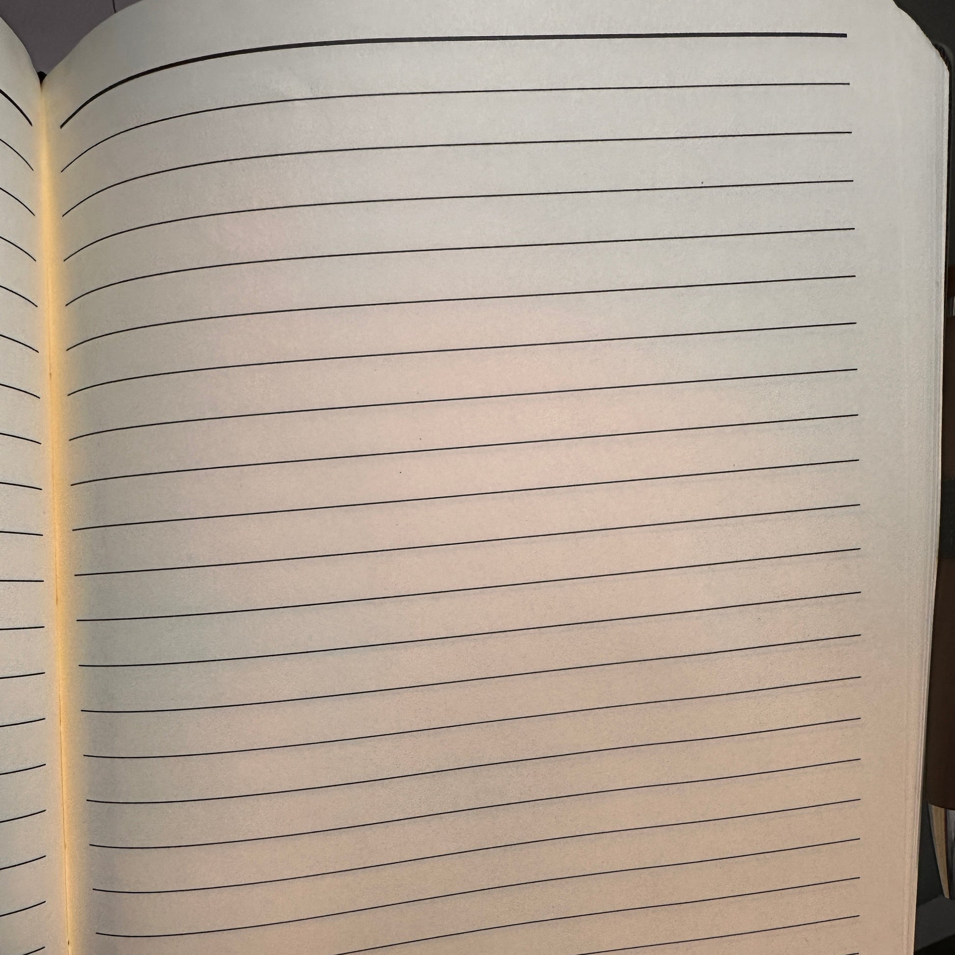 inside of journal showing that it has lined pages